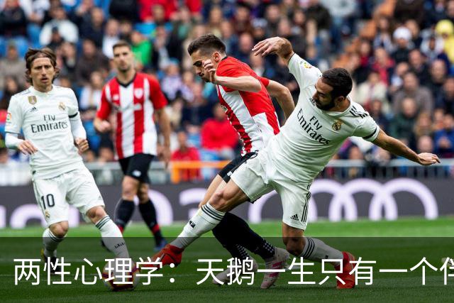 两性心理学：天鹅一生只有一个伴侣，可动物学家却发现了真相，母天鹅从来不等着被挑选，而是用一种人类女性不会用的方式让自己成了唯一